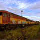 Illustration for article titled Behold the Rusting Beauty of Abandoned Train Graveyards